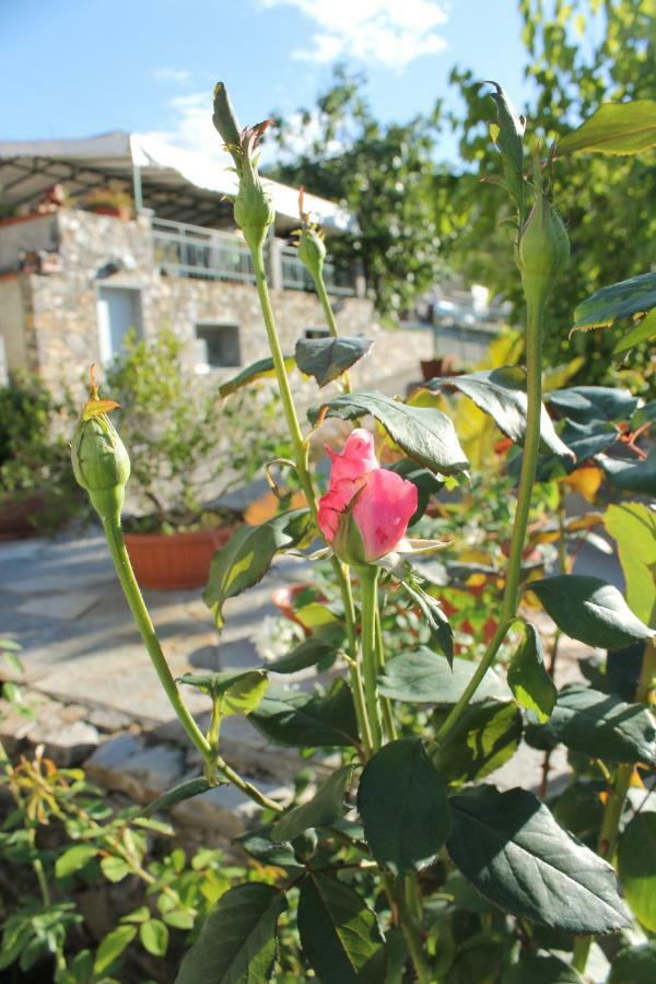 B&B Ca Dei Fre Genoa Exterior photo